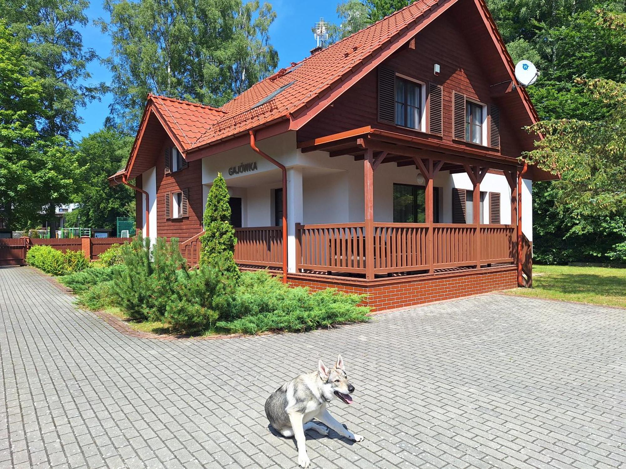 Hotel Osrodek Szkoleniowo-Wypoczynkowy "Lesnik" Stolpmünde Exterior foto